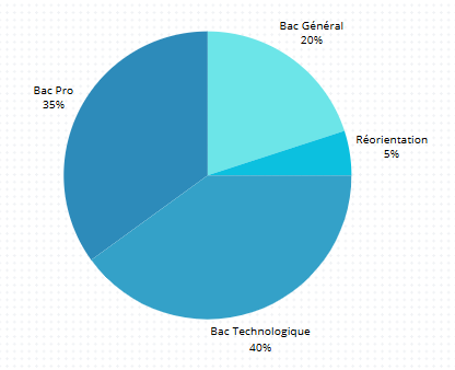 Illustration BTS SIO